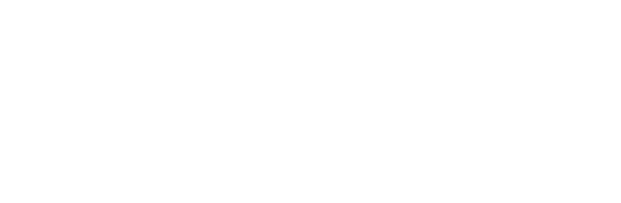 BQS Logo Footer